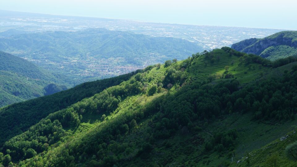 Camaiore Vista Dai Monti Delle Alpi Apuane