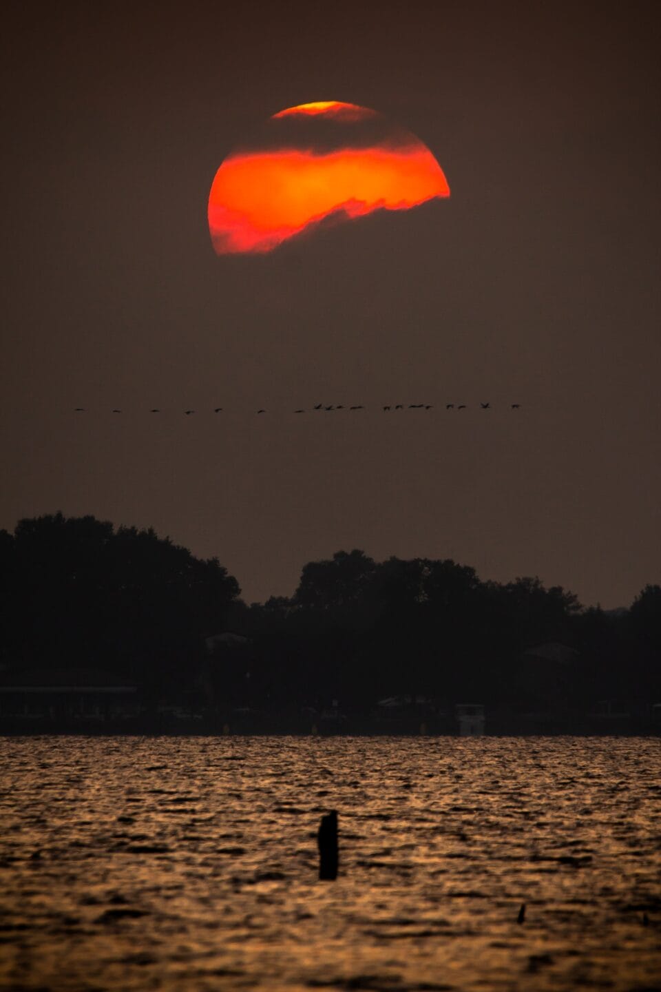 Il Sole Tramonta Dietro Al Lago Di Massaciuccoli